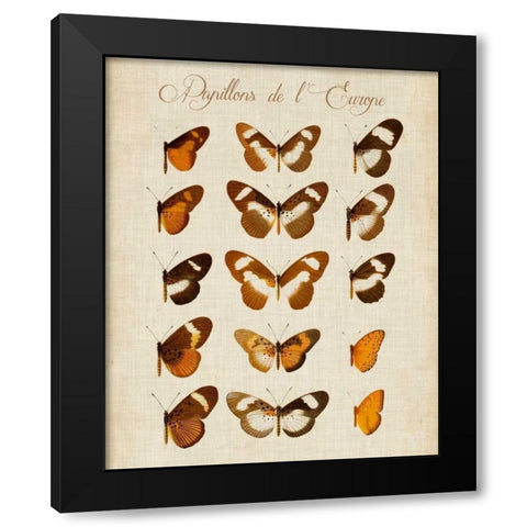 Papillons de LEurope IV Black Modern Wood Framed Art Print by Vision Studio