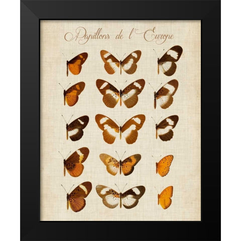 Papillons de LEurope IV Black Modern Wood Framed Art Print by Vision Studio