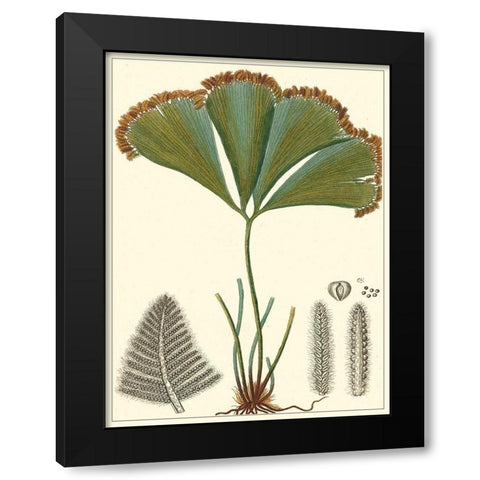 Small Foliage Botanique I Black Modern Wood Framed Art Print with Double Matting by Turpin