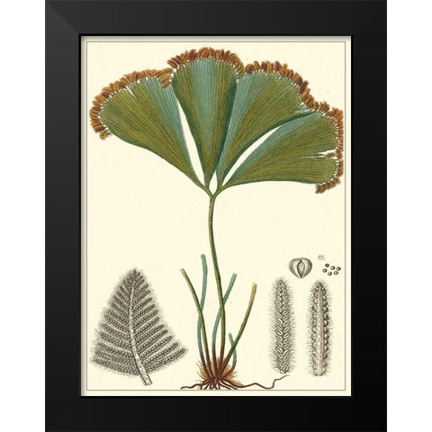 Small Foliage Botanique I Black Modern Wood Framed Art Print by Turpin