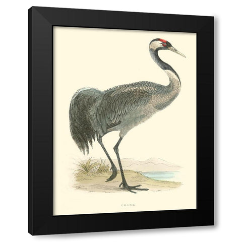 Small Morris Crane I Black Modern Wood Framed Art Print by Morris