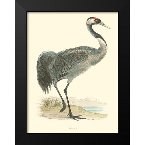 Small Morris Crane I Black Modern Wood Framed Art Print by Morris