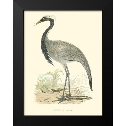 Small Morris Crane II Black Modern Wood Framed Art Print by Morris