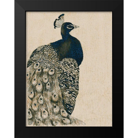 Textured Peacock I Black Modern Wood Framed Art Print by Popp, Grace