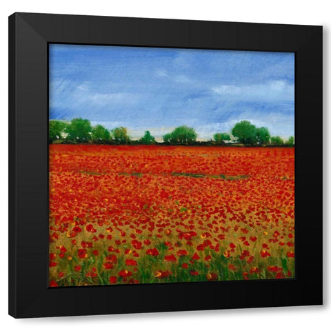 Field of Poppies I Black Modern Wood Framed Art Print with Double Matting by OToole, Tim