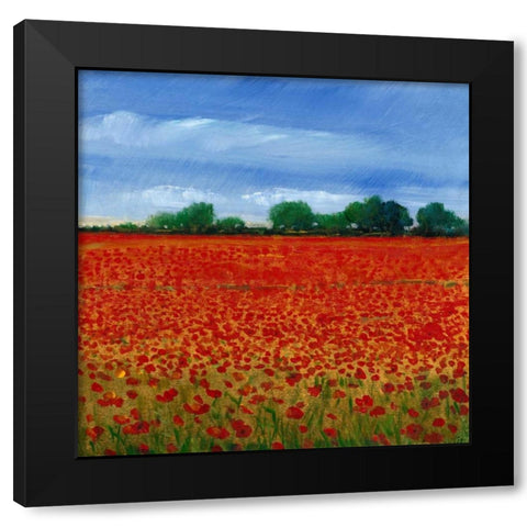 Field of Poppies II Black Modern Wood Framed Art Print with Double Matting by OToole, Tim