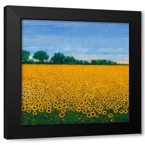 Field of Sunflowers I Black Modern Wood Framed Art Print with Double Matting by OToole, Tim