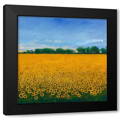 Field of Sunflowers II Black Modern Wood Framed Art Print with Double Matting by OToole, Tim