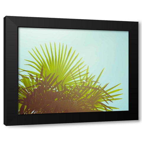 Sunny Palms I Black Modern Wood Framed Art Print by Quintero, Sonja