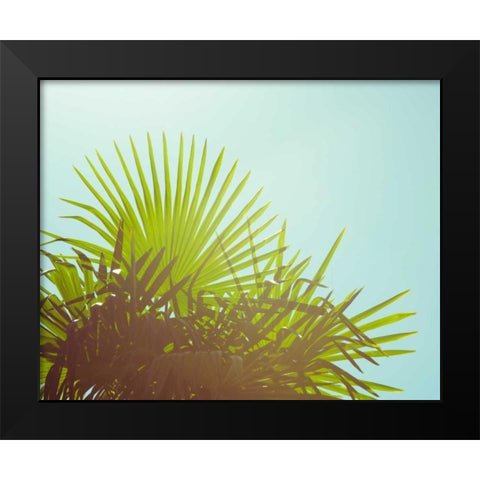 Sunny Palms I Black Modern Wood Framed Art Print by Quintero, Sonja