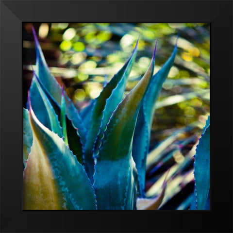Succulent Vibes I Black Modern Wood Framed Art Print by Quintero, Sonja