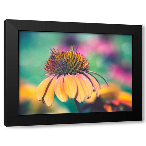 Mellow Yellows I Black Modern Wood Framed Art Print with Double Matting by Quintero, Sonja