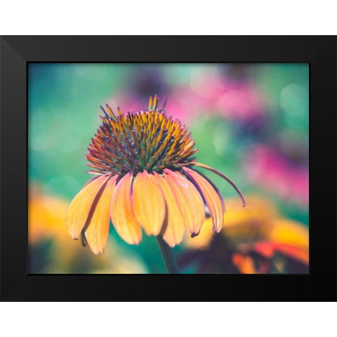 Mellow Yellows I Black Modern Wood Framed Art Print by Quintero, Sonja