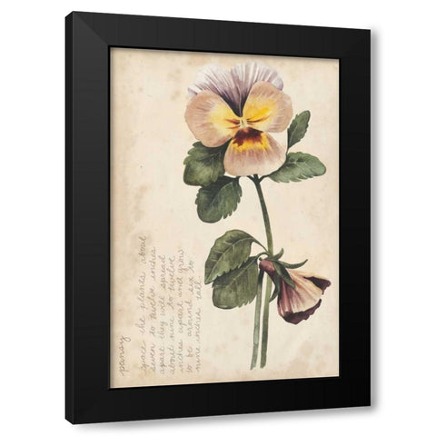 Garden Studies I Black Modern Wood Framed Art Print with Double Matting by Popp, Grace