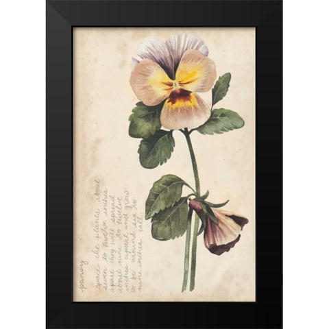 Garden Studies I Black Modern Wood Framed Art Print by Popp, Grace