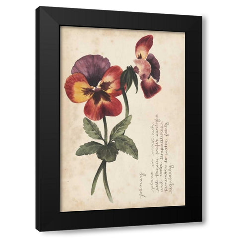 Garden Studies II Black Modern Wood Framed Art Print with Double Matting by Popp, Grace