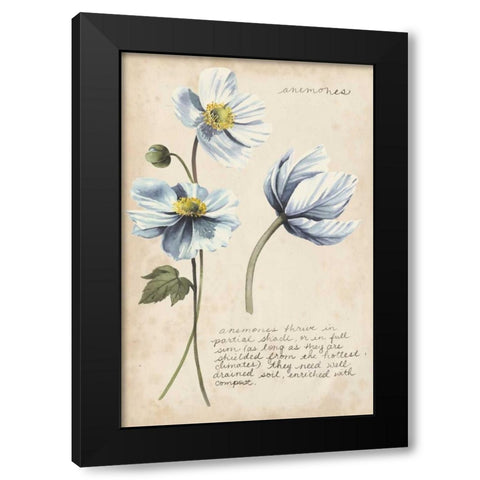 Garden Studies III Black Modern Wood Framed Art Print with Double Matting by Popp, Grace