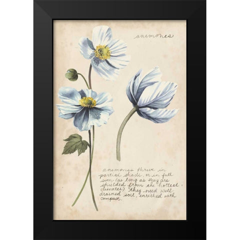Garden Studies III Black Modern Wood Framed Art Print by Popp, Grace
