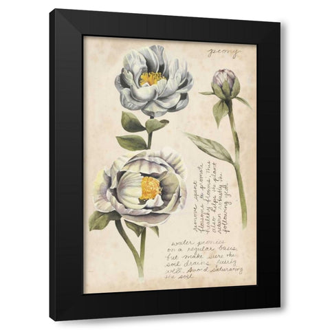 Garden Studies IV Black Modern Wood Framed Art Print by Popp, Grace