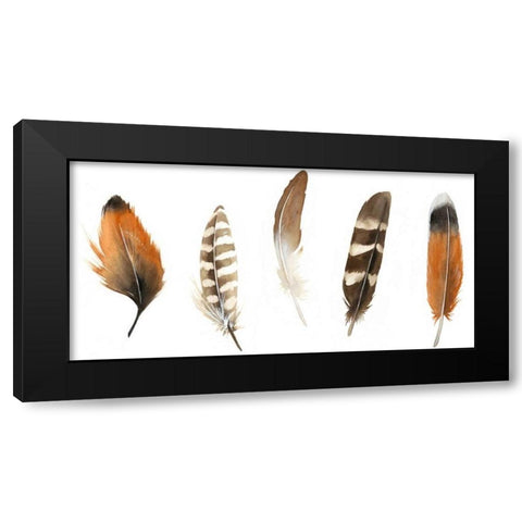 Red Rock Feathers I Black Modern Wood Framed Art Print with Double Matting by Popp, Grace