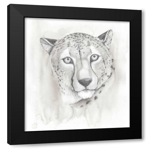 Big Cat Study I Black Modern Wood Framed Art Print by Popp, Grace