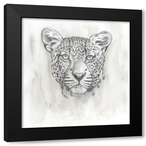Big Cat Study IV Black Modern Wood Framed Art Print with Double Matting by Popp, Grace
