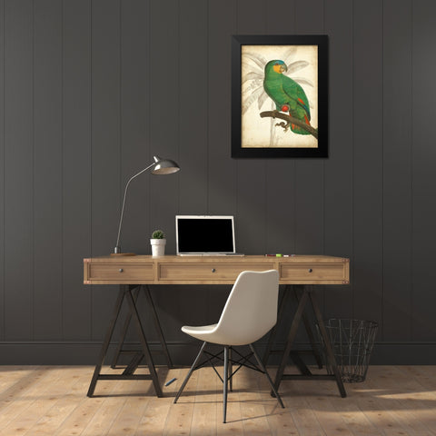 Custom Parrot and Palm I Black Modern Wood Framed Art Print by Vision Studio