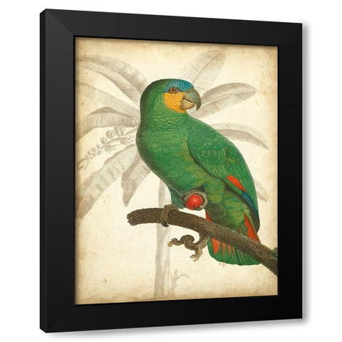 Custom Parrot and Palm I Black Modern Wood Framed Art Print with Double Matting by Vision Studio