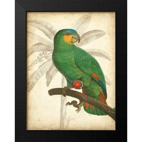 Custom Parrot and Palm I Black Modern Wood Framed Art Print by Vision Studio