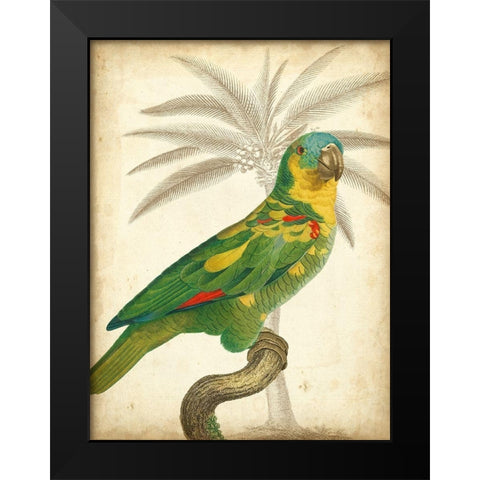 Custom Parrot and Palm II Black Modern Wood Framed Art Print by Vision Studio