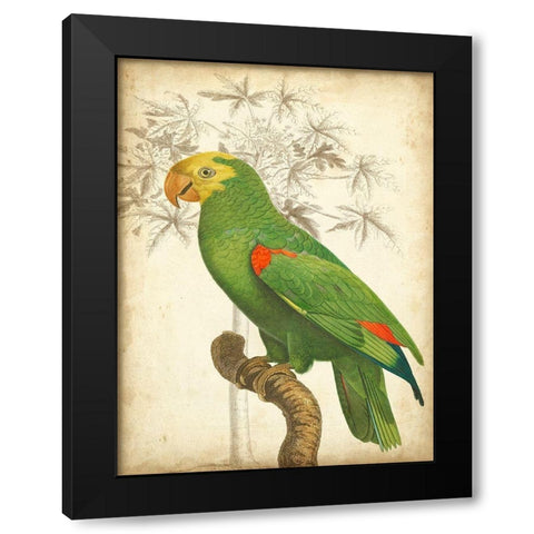 Custom Parrot and Palm III Black Modern Wood Framed Art Print by Vision Studio