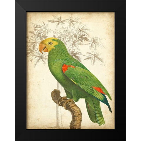 Custom Parrot and Palm III Black Modern Wood Framed Art Print by Vision Studio