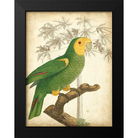 Custom Parrot and Palm IV Black Modern Wood Framed Art Print by Vision Studio