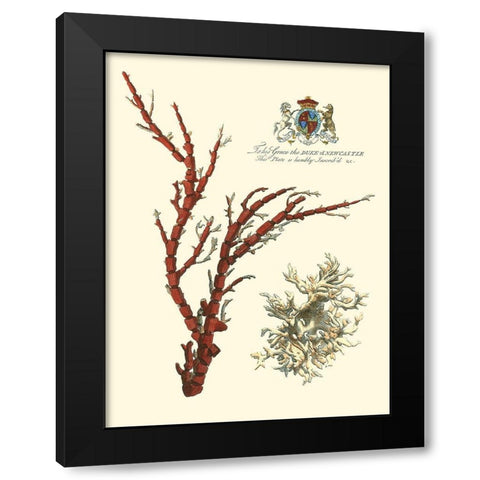 Custom Imperial Coral I Black Modern Wood Framed Art Print with Double Matting by Vision Studio