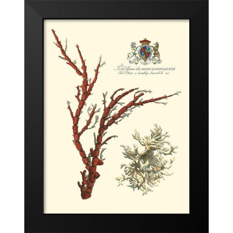 Custom Imperial Coral I Black Modern Wood Framed Art Print by Vision Studio