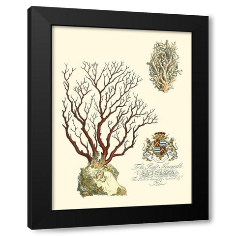 Custom Imperial Coral III Black Modern Wood Framed Art Print with Double Matting by Vision Studio