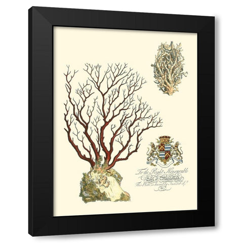 Custom Imperial Coral III Black Modern Wood Framed Art Print by Vision Studio