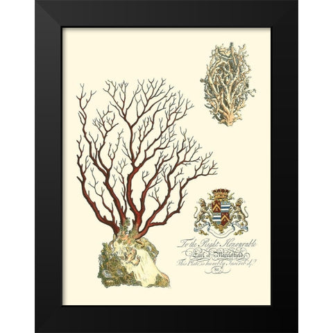 Custom Imperial Coral III Black Modern Wood Framed Art Print by Vision Studio