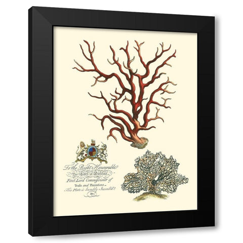 Custom Imperial Coral IV Black Modern Wood Framed Art Print with Double Matting by Vision Studio