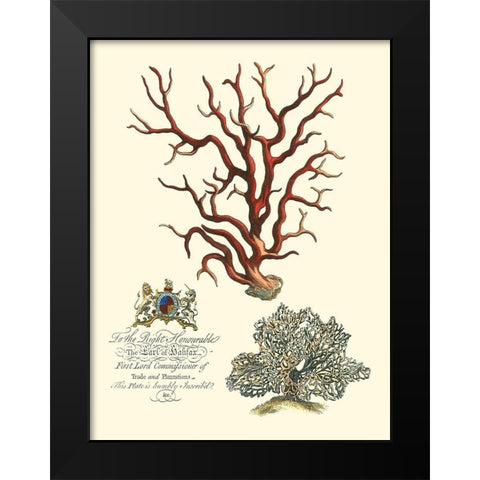 Custom Imperial Coral IV Black Modern Wood Framed Art Print by Vision Studio
