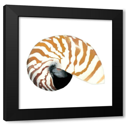 Seashore Souvenirs III Black Modern Wood Framed Art Print by McCavitt, Naomi