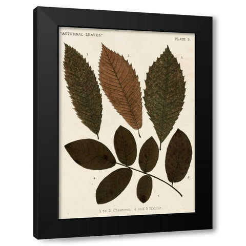 Autumnal Leaves I Black Modern Wood Framed Art Print with Double Matting by Vision Studio