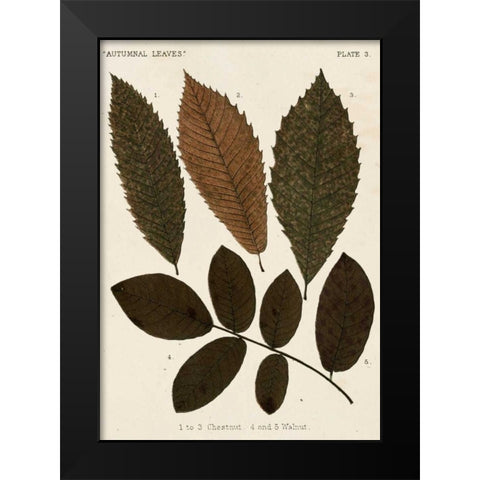 Autumnal Leaves I Black Modern Wood Framed Art Print by Vision Studio