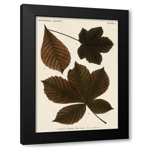 Autumnal Leaves III Black Modern Wood Framed Art Print with Double Matting by Vision Studio