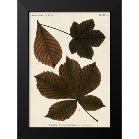 Autumnal Leaves III Black Modern Wood Framed Art Print by Vision Studio