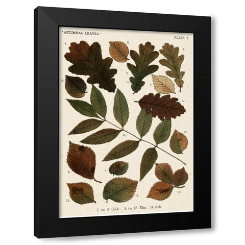 Autumnal Leaves V Black Modern Wood Framed Art Print with Double Matting by Vision Studio