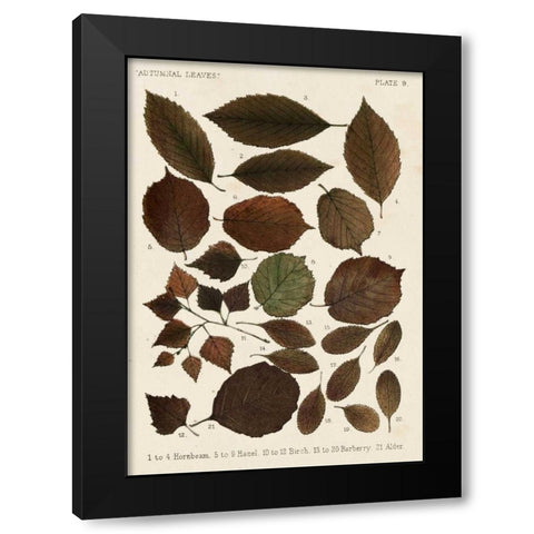 Autumnal Leaves VI Black Modern Wood Framed Art Print with Double Matting by Vision Studio