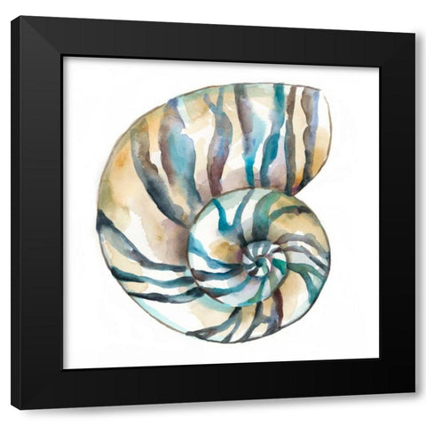 Aquarelle Shells II Black Modern Wood Framed Art Print with Double Matting by Zarris, Chariklia