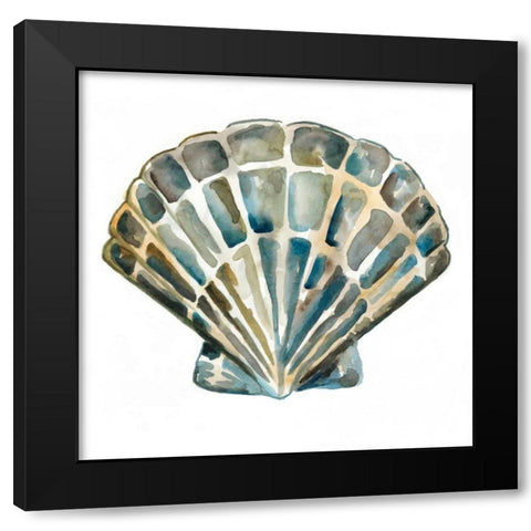 Aquarelle Shells IV Black Modern Wood Framed Art Print with Double Matting by Zarris, Chariklia