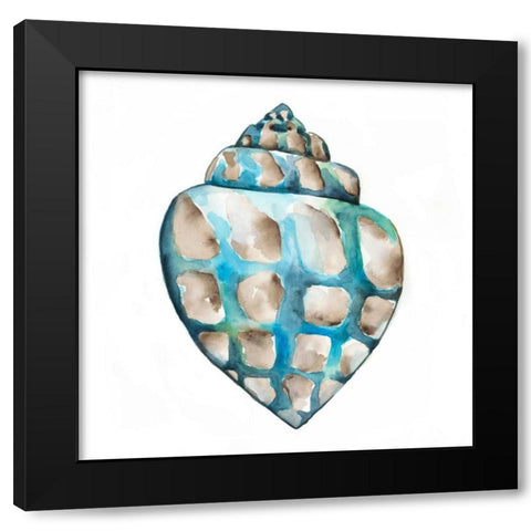 Aquarelle Shells V Black Modern Wood Framed Art Print with Double Matting by Zarris, Chariklia